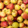 Mostäpfel 13kg Bio-Braeburn-Saftäpfel