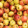 Mostäpfel 13kg Bio-Braeburn-Saftäpfel