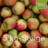 Bio-Äpfel 5kg-Steige / Holsteiner Cox