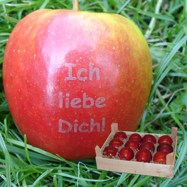 Liebesapfel rot / Ich liebe Dich! / 12 Äpfel Holzkiste / Kiste ohne Branding