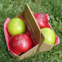 2 grüne und 2 rote Logo-Äpfel Laser in Apple Tray verpackt|truncate:60