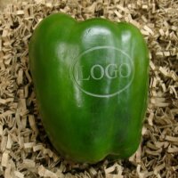 LOGO-Paprika grün|truncate:60