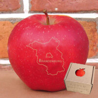 Brandenburg - Apfel mit Branding