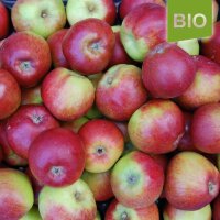 Rheinischer Winterrambur Bio-Äpfel 5kg|truncate:60