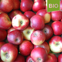Kardinal Bea Bio-Äpfel 5kg