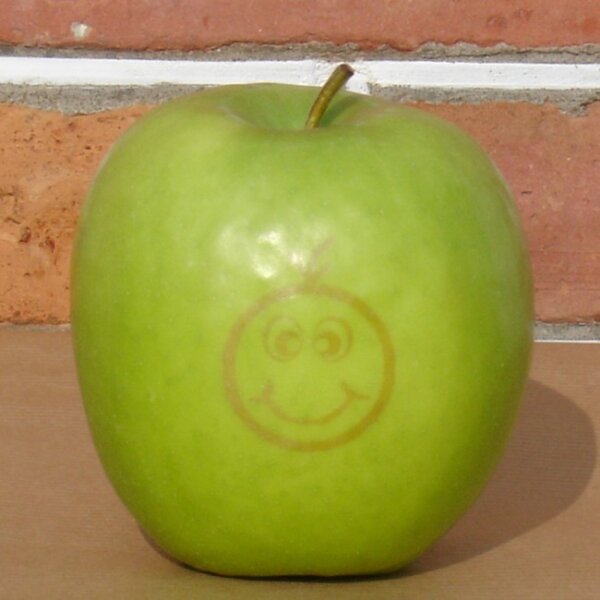 Grüner mini Laser-Apfel mit Smilie "Fred"