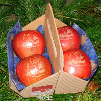 4 Frohe Weihnachten-Äpfel in Apple Tray verpackt|truncate:60