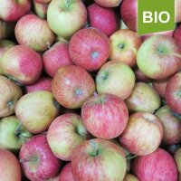Bio Fuji Äpfel coole Minis 5kg