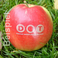 Roter Bio-LOGO-Apfel, klein