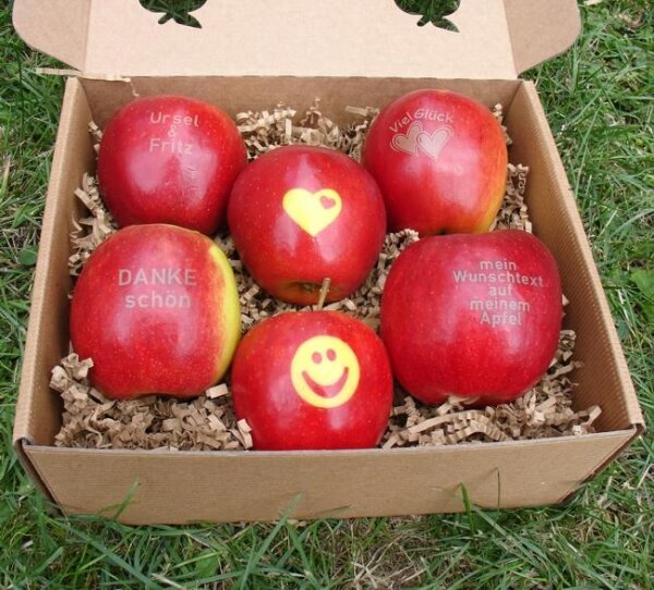 6 Wunschäpfel in APPLE PRESENT BOX