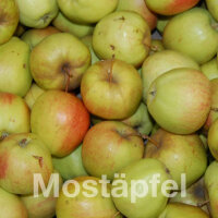Mostäpfel 13kg krumme Früchte / Herbstprinz