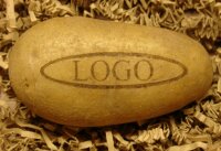 LOGO-Kartoffel|truncate:60