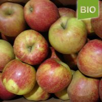 Bio-Boskoop Äpfel 5kg - Alte Apfelsorte|truncate:60