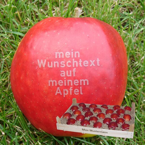 25 rote Äpfel mit Namen in Holzkiste mit Namen-Branding