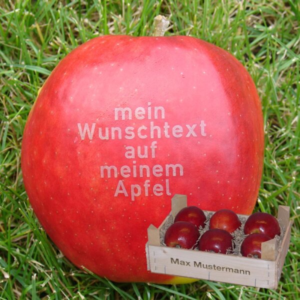 6 rote Äpfel mit Namen in Holzkiste mit Namen-Branding