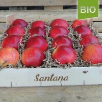 Santana Apfel / Bio-Äpfel / 2,5kg-Holzkiste