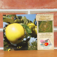 Ansichtskarte Holsteiner Zitronenapfel|truncate:60