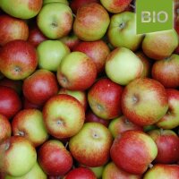 Geflammter Kardinal Bio-Äpfel 5kg|truncate:60