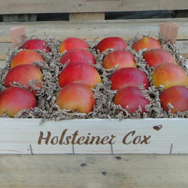 Holsteiner Cox Bio-Äpfel 3kg-Kiste