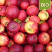 Gerlinde Bio-Äpfel 5kg|truncate:60
