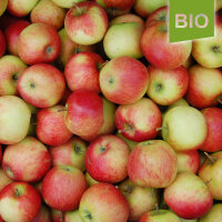 Gerlinde Bio-Äpfel 5kg