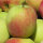 Arkcharm Früh-Apfel 5kg