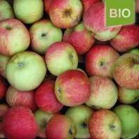 Bio-Apfel Fürst Bismarck