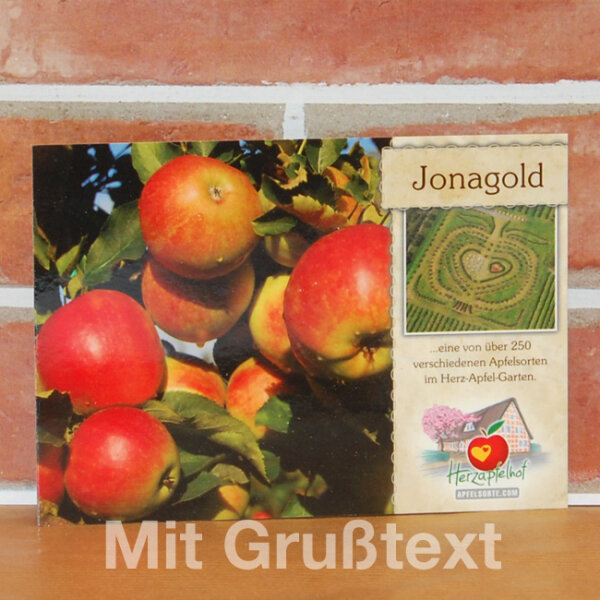Grußkarte Jonagold Apfel