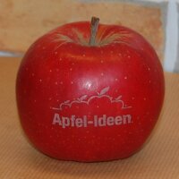 Apfelideen 4 - Apfel mit Branding|truncate:60
