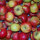 Mostäpfel 13kg krumme Früchte / Topaz
