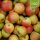 Bio-Äpfel 5kg-Steige