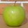 Grüner Apfel mit Herz-Kontur