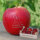 Liebesapfel rot / Dein Antrag + 2 Textzeilen / 6 Äpfel Holzkiste / Kiste mit Namen
