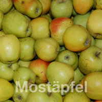 Mostäpfel 13kg krumme Früchte / Glockenapfel
