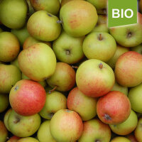 Martini Bio-Äpfel 5kg|truncate:60