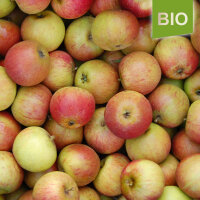 Bio-Äpfel Cox Orange 5kg|truncate:60