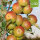 Bio-Äpfel Cox Orange 5kg