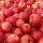 Bio-Äpfel 5kg-Steige / Red Jonaprince