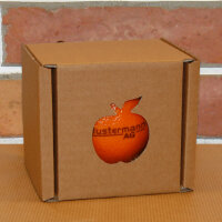 LOGO-Orange in Present Box