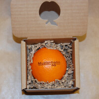 LOGO-Orange in Present Box