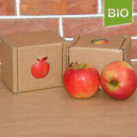 Bio-Apfel der Sorte Elstar|truncate:60