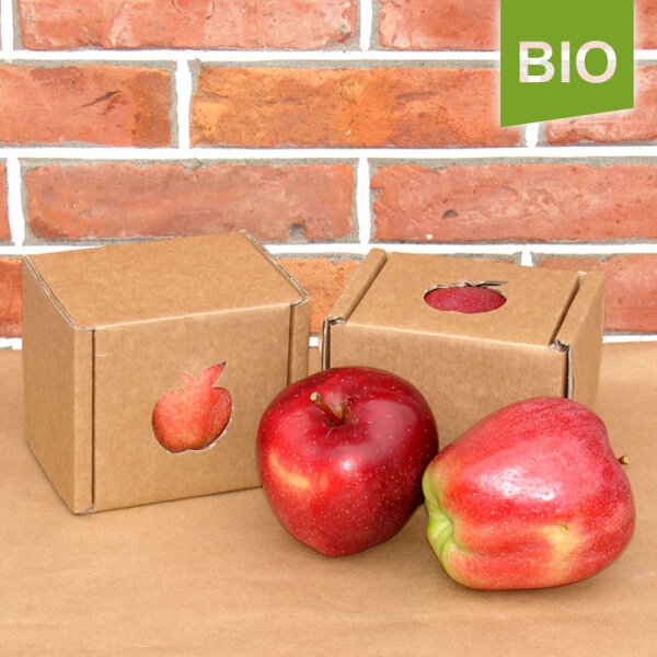 Bio-Apfel Einzelbox / Gloster