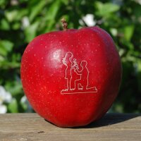 Apfel - Der Antrag