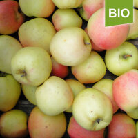 Bio-Apfel Produkta 5kg|truncate:60