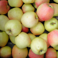 Bio-Apfel Produkta 5kg