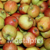 Mostäpfel, 13kg Bio-Jonagored-Saftäpfel