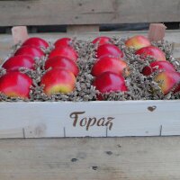 Topaz Bio-Äpfel 3kg-Kiste