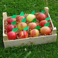 Apfelprobierkiste mit 12 Äpfeln