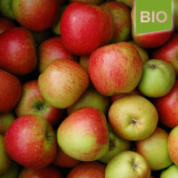 Undine Bio-Äpfel 5kg|truncate:60
