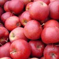 Rote Äpfel 5kg